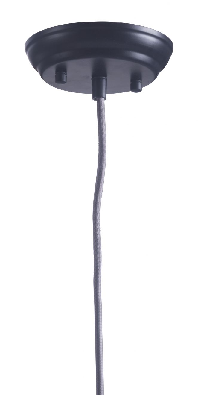 50209