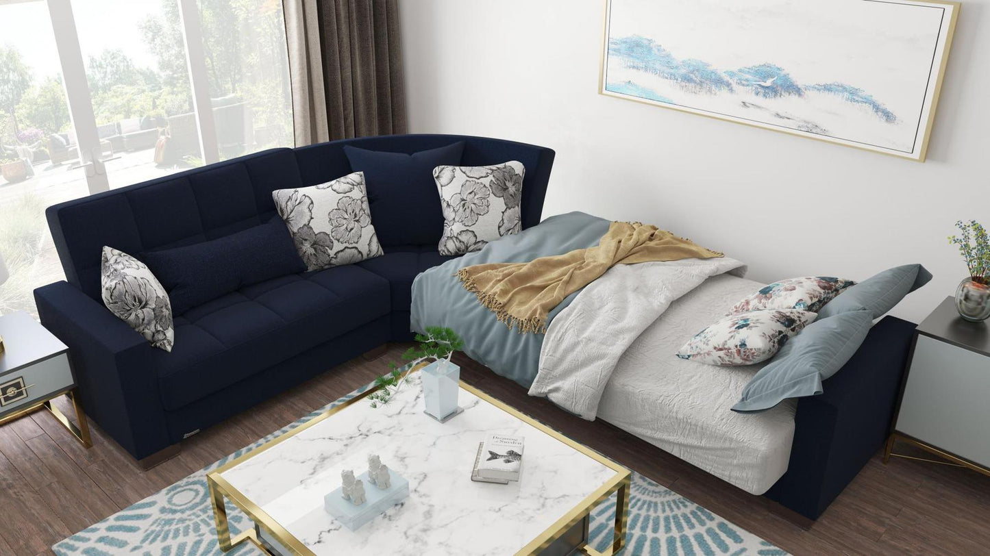 blue sofa cum bed