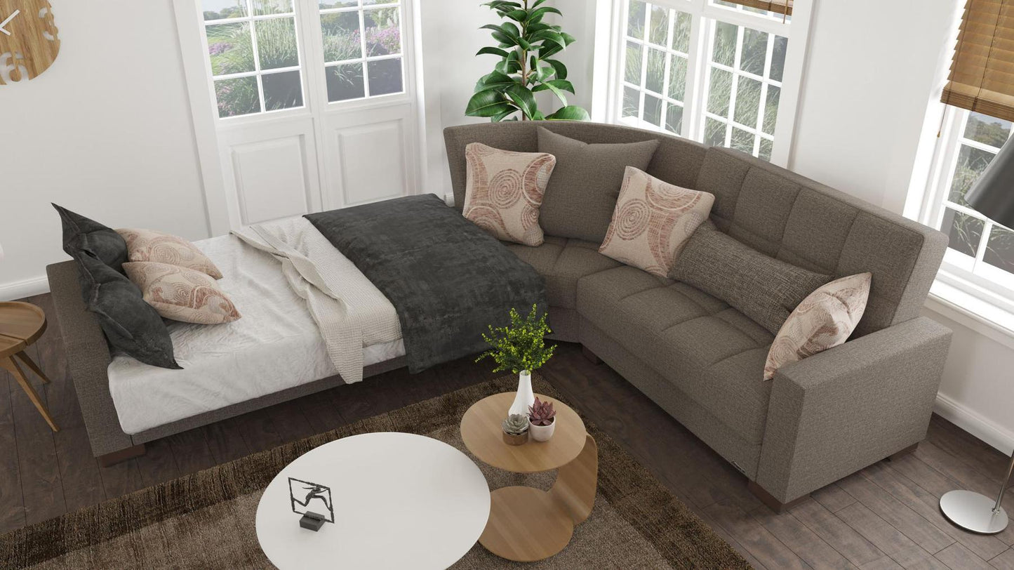 sofa cum bed