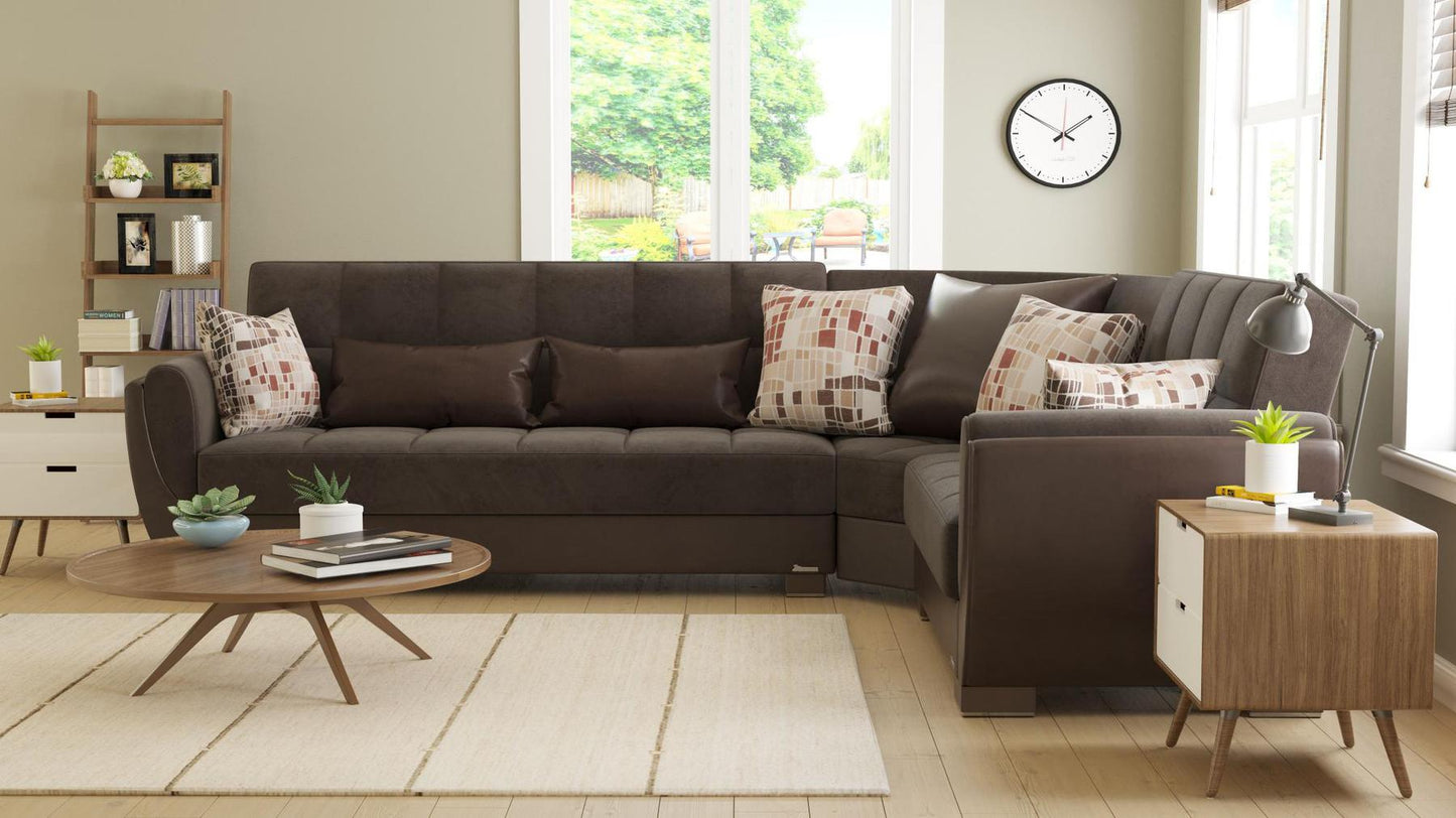 brown sofa sectional