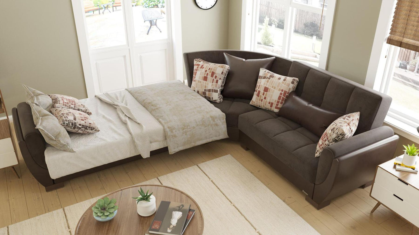 brown convert bed