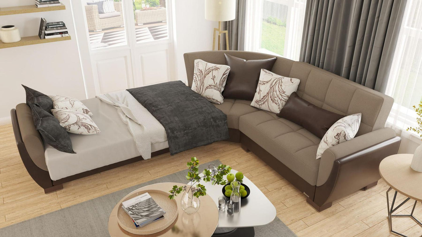 taupe convert bed