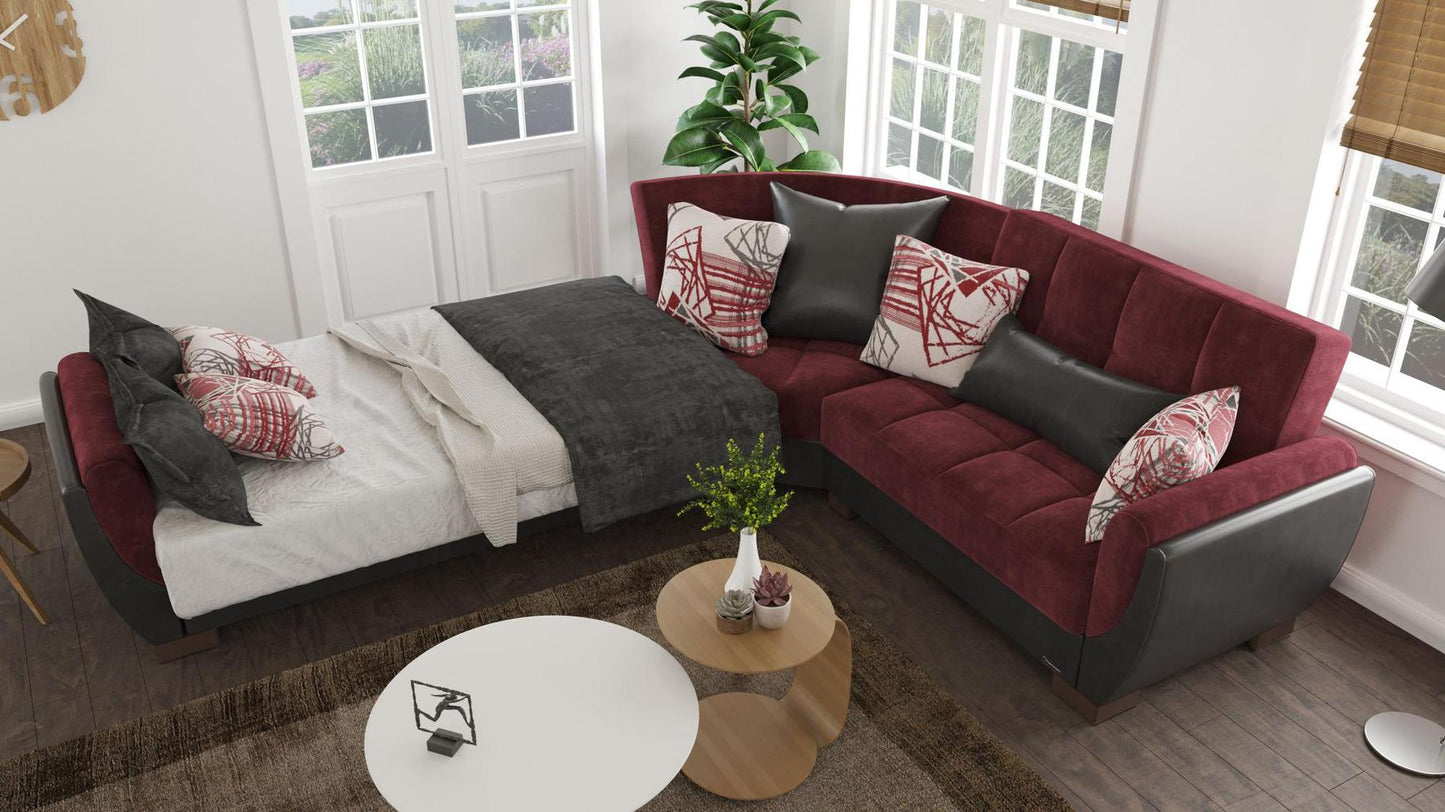 burgundy convert bed