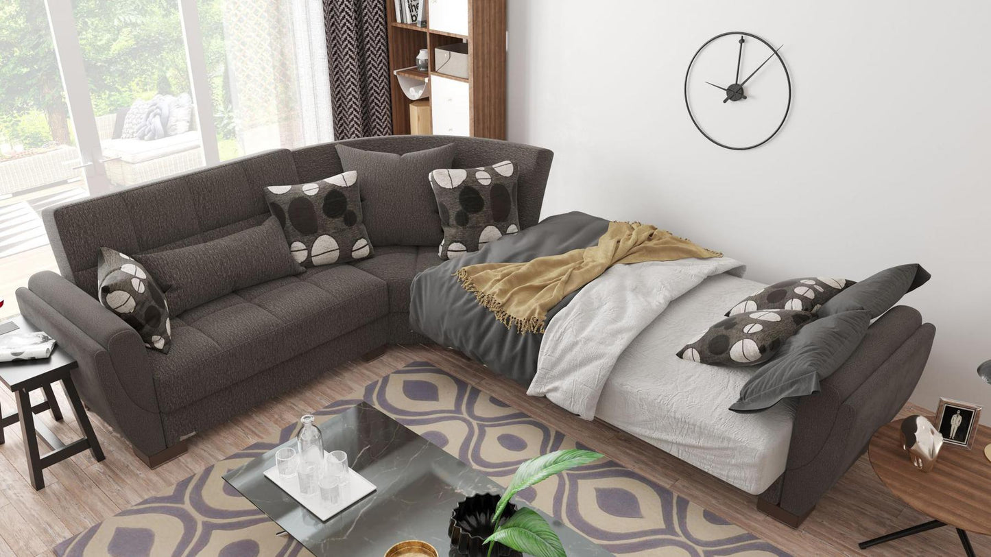 brown convert bed
