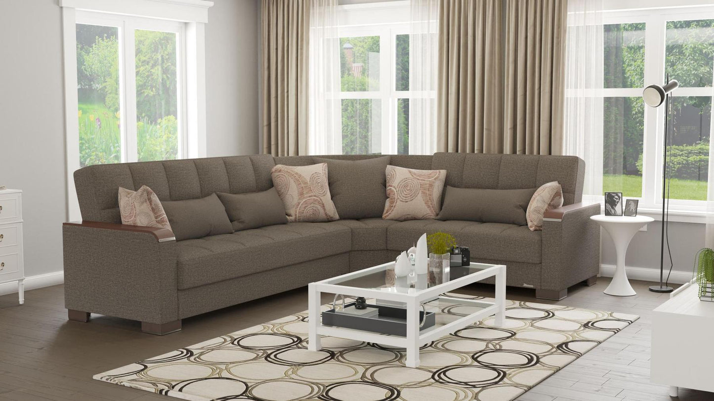 brown sofa sectional