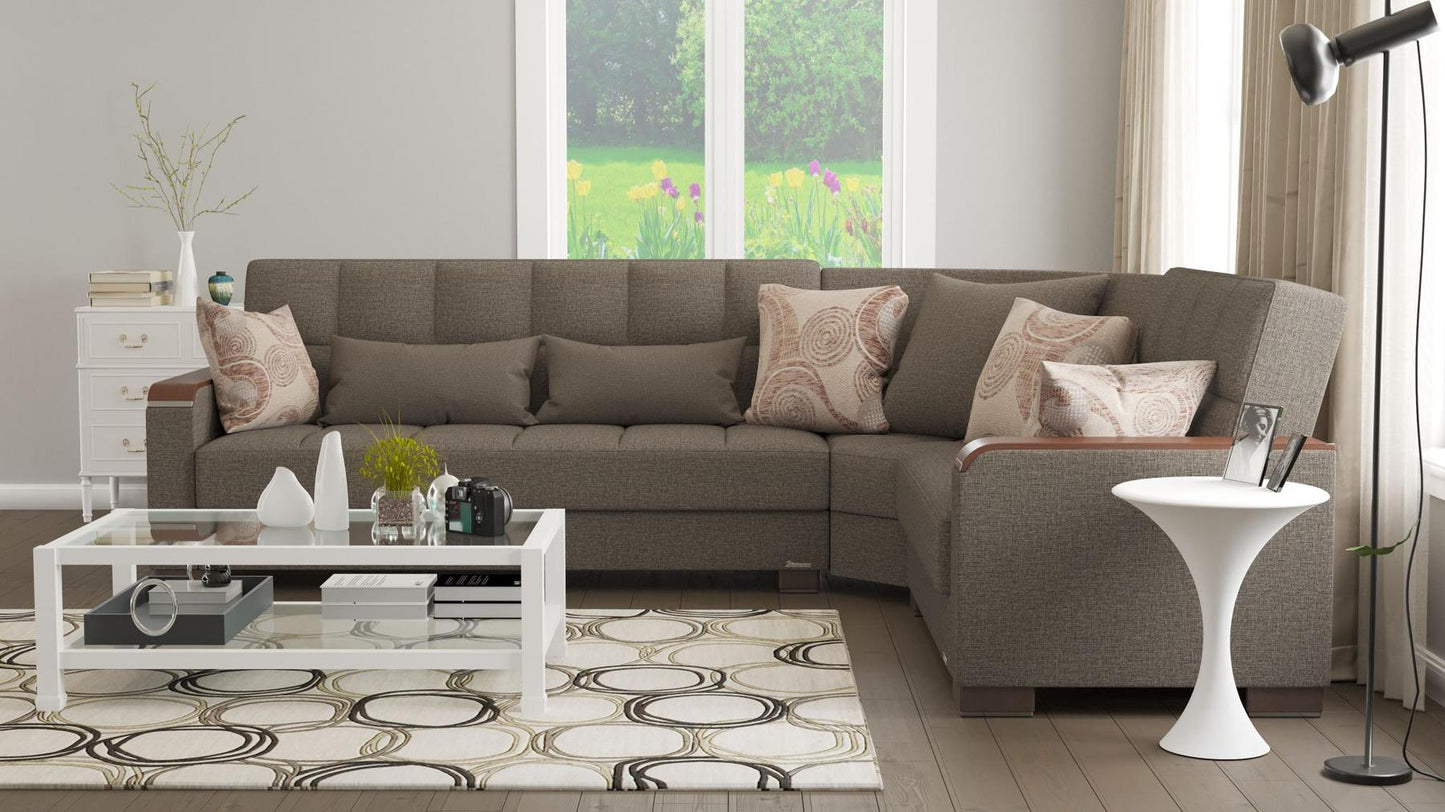 brown sofa sectional