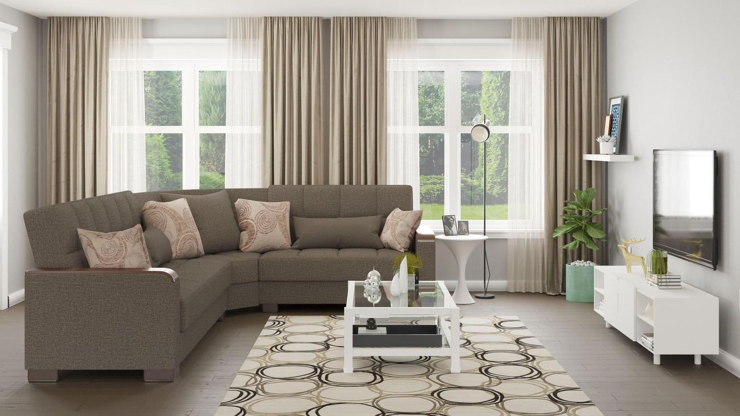 brown sofa sectional