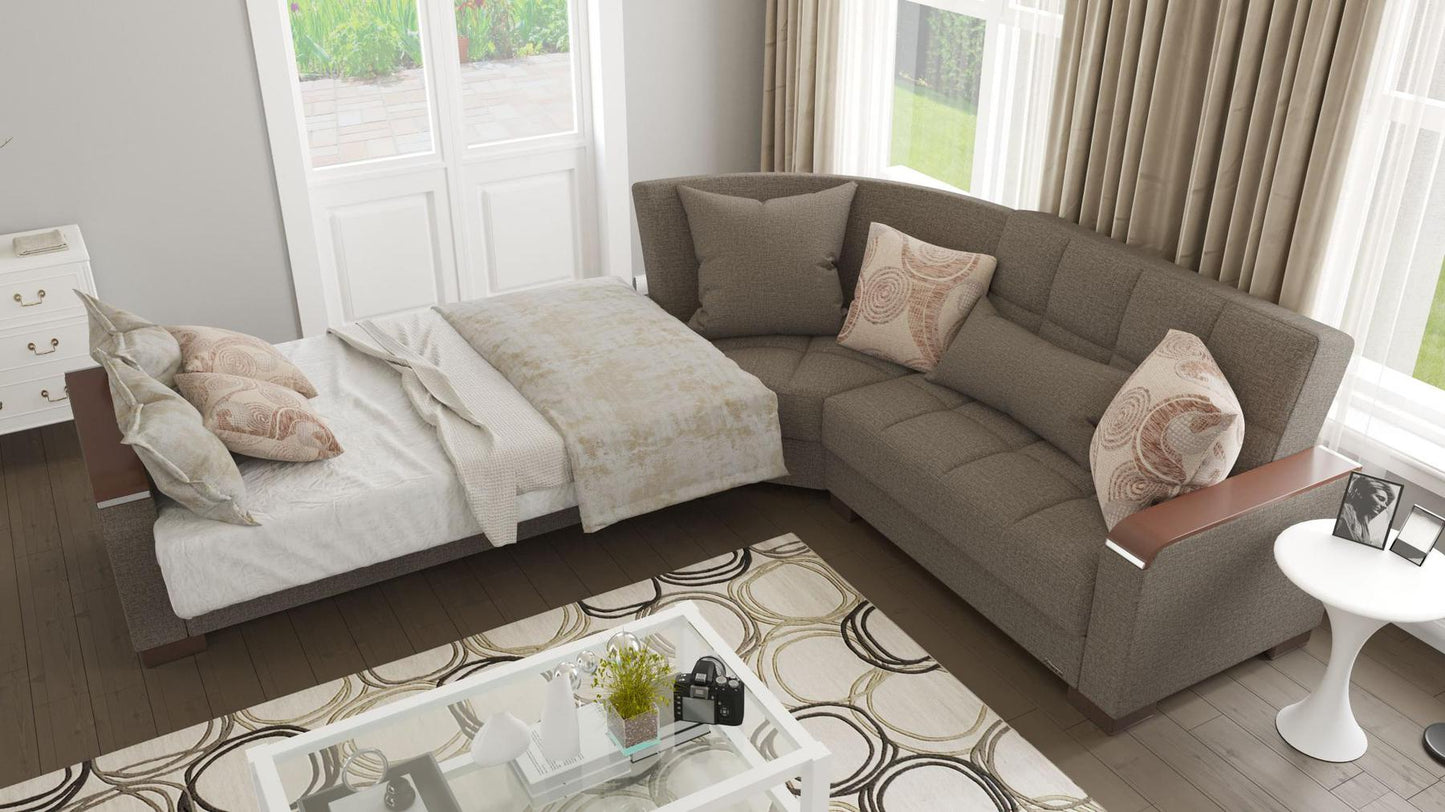brown sofa bed