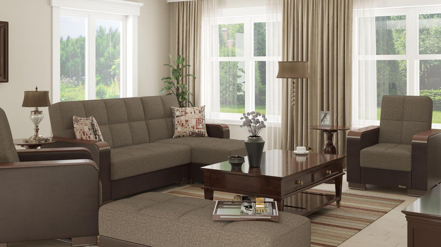 brown sectional