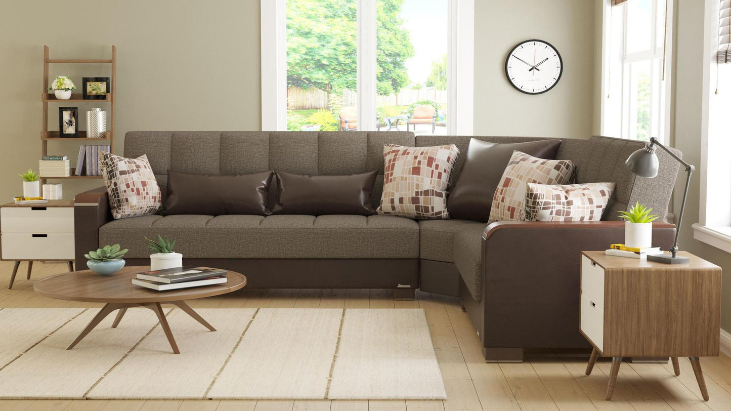 brown sofa sectional