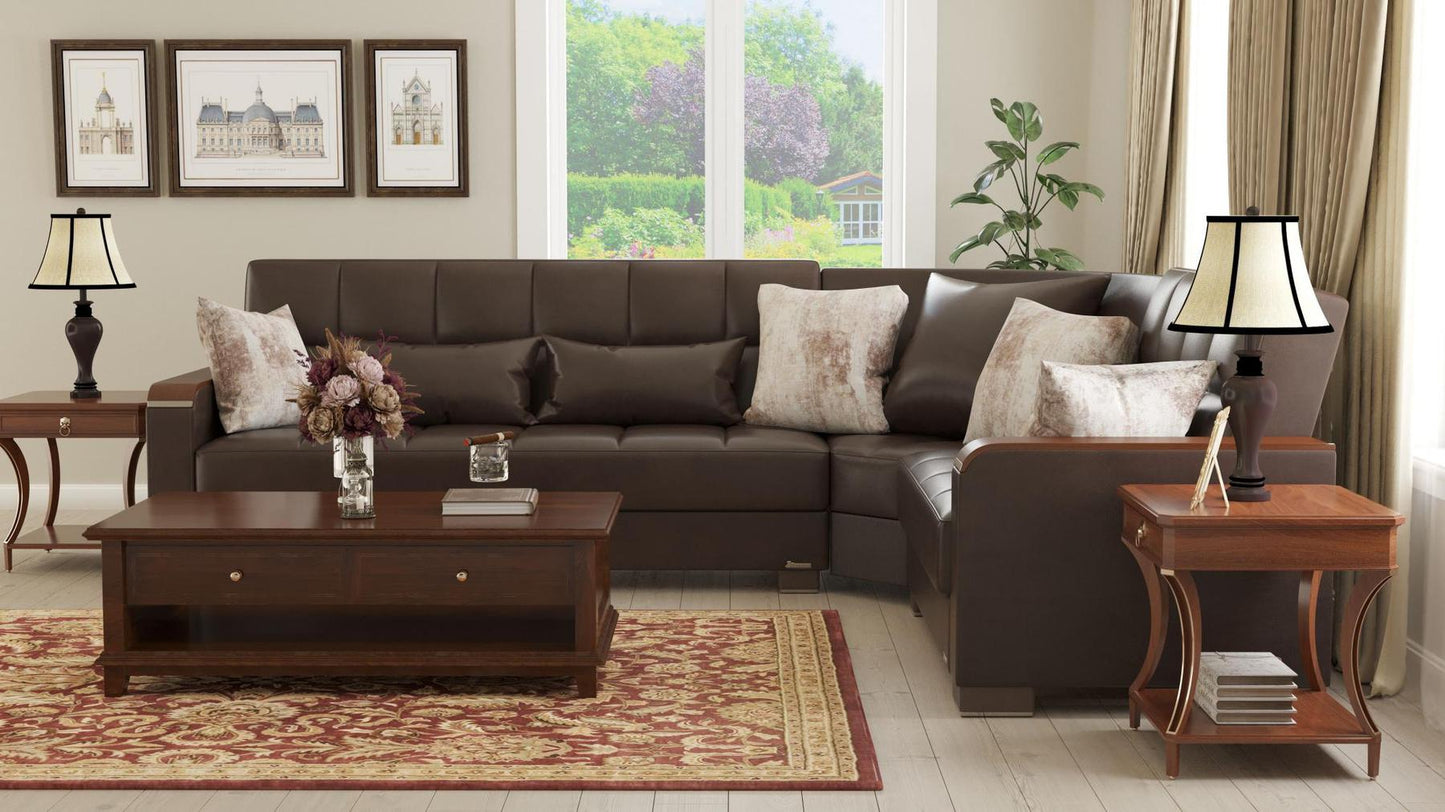 dark brown sectional
