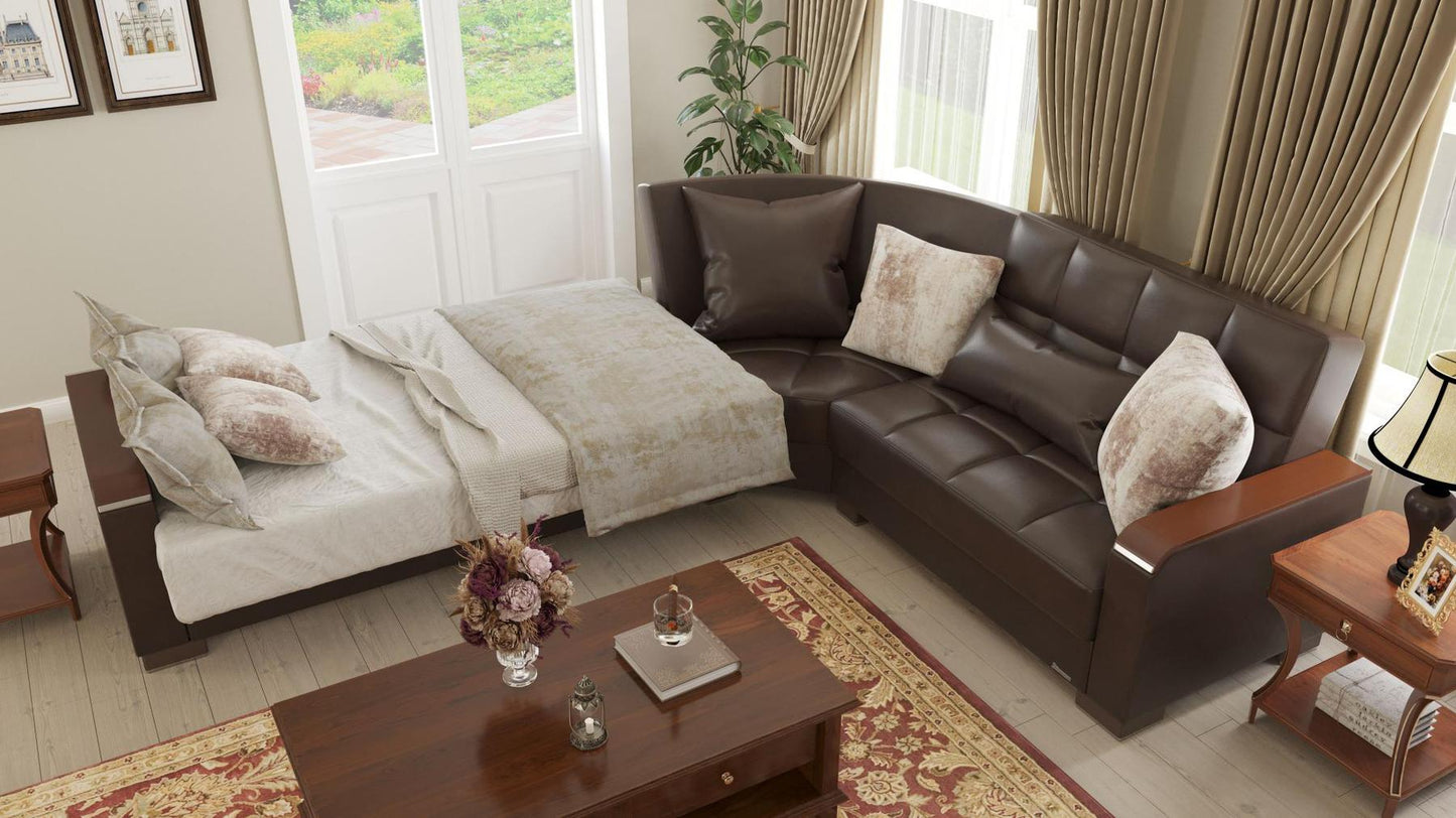 dark brown convert bed