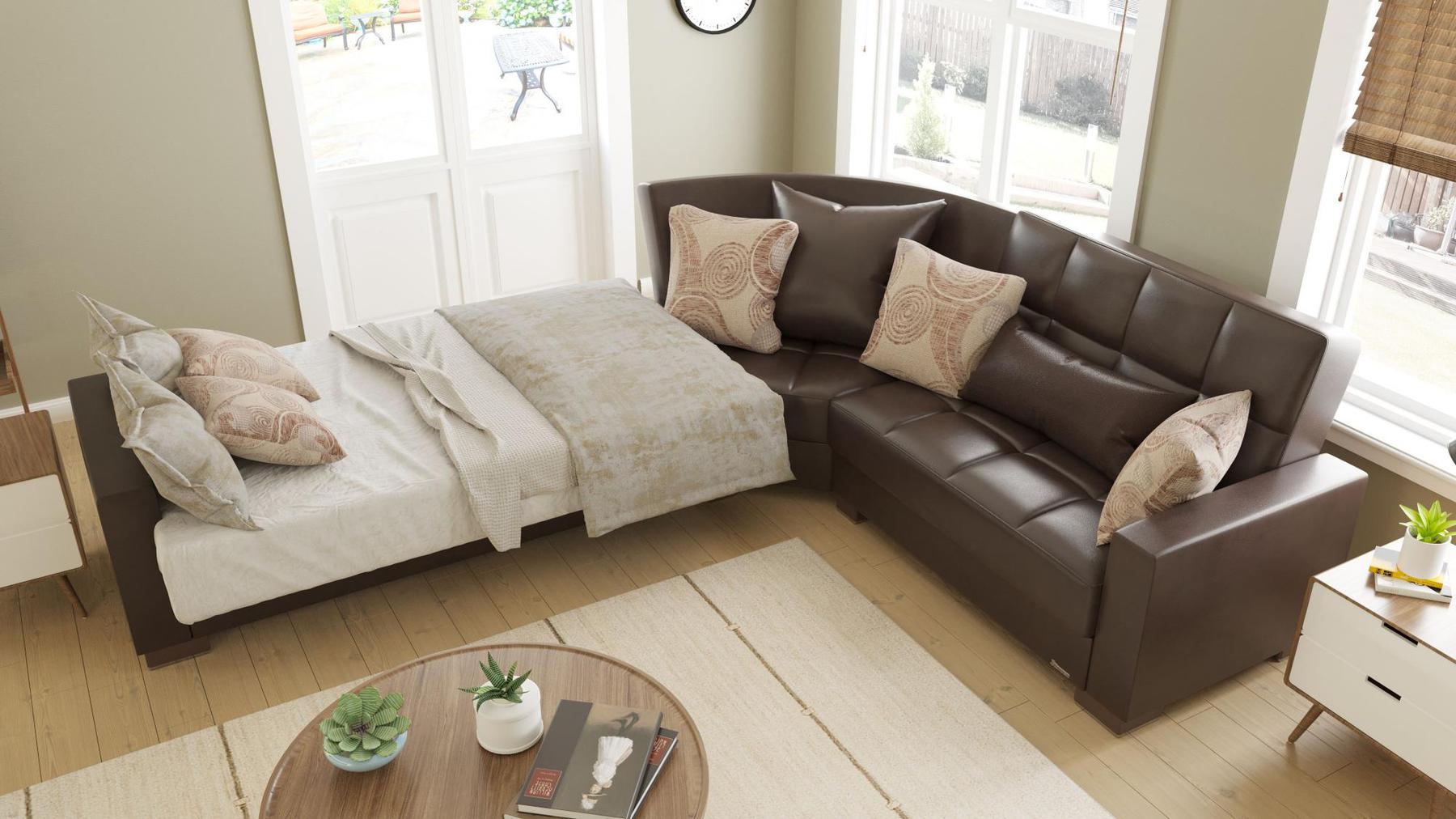 dark brown convert bed